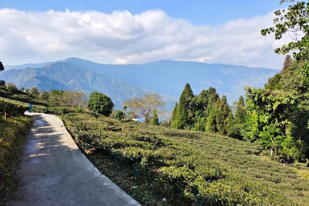 Photo of Others in Kurseong