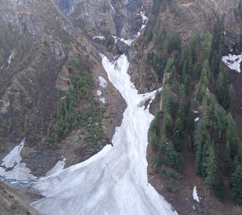 Photo of Others in Dharamshala