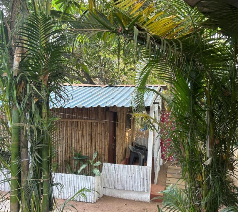 Photo of Others in Arambol