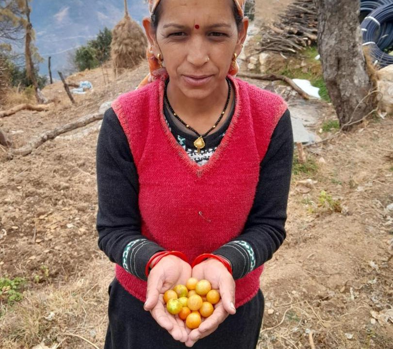 Photo of Others in Tehri