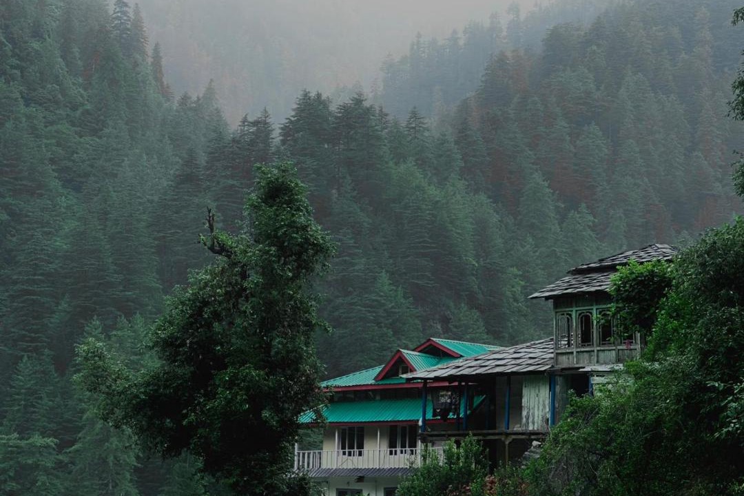 Photo of Others in Jibhi