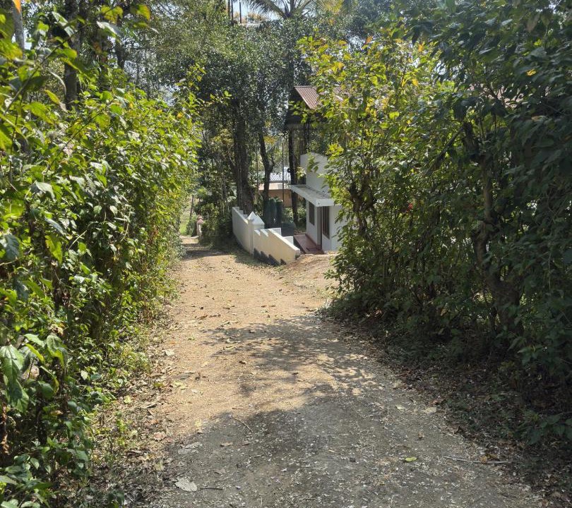 Photo of Others in Meenangadi