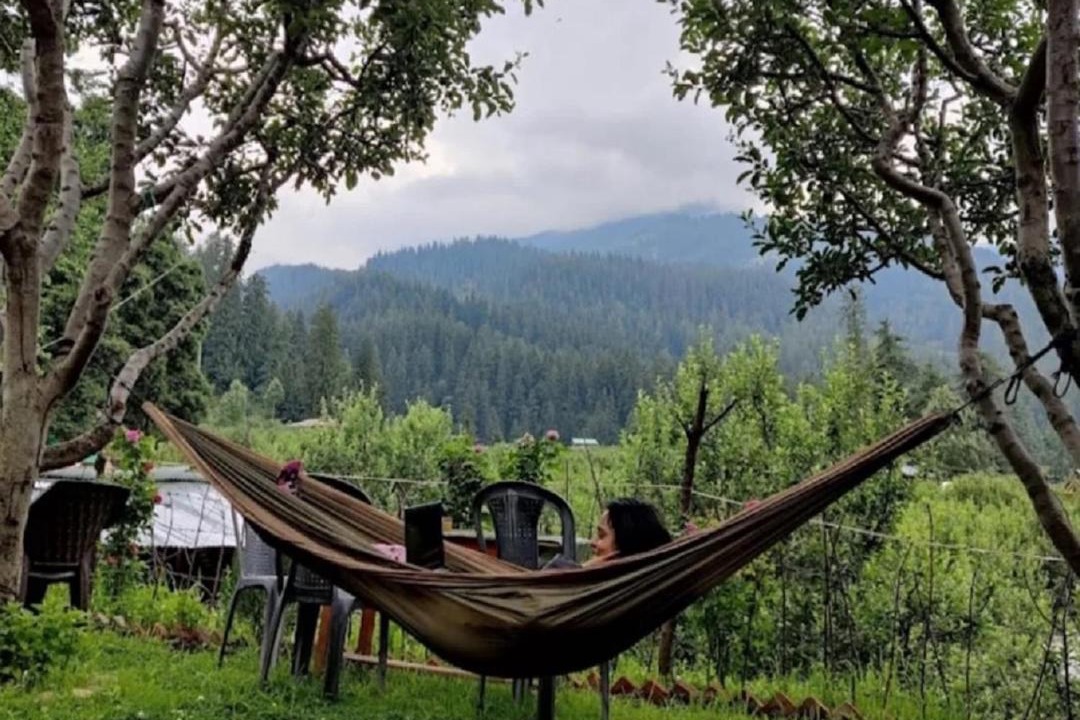 Photo of Others in Kullu
