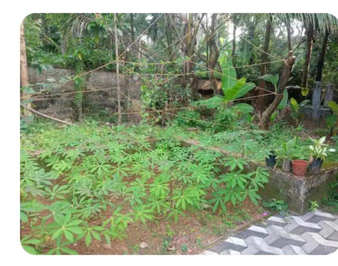 Photo of Outdoor in Keerankulangara
