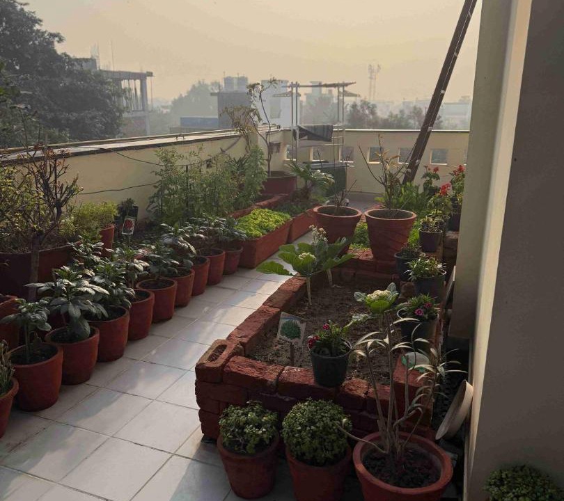 Photo of Others in Noida