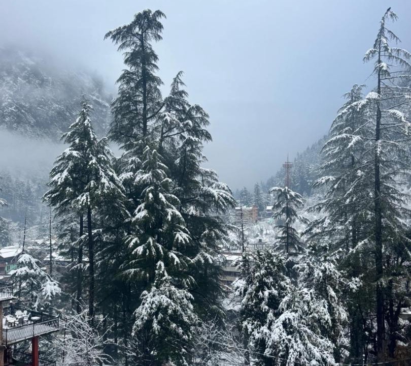 Photo of Others in Kasol