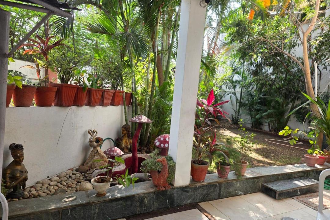 Photo of Others in Rau