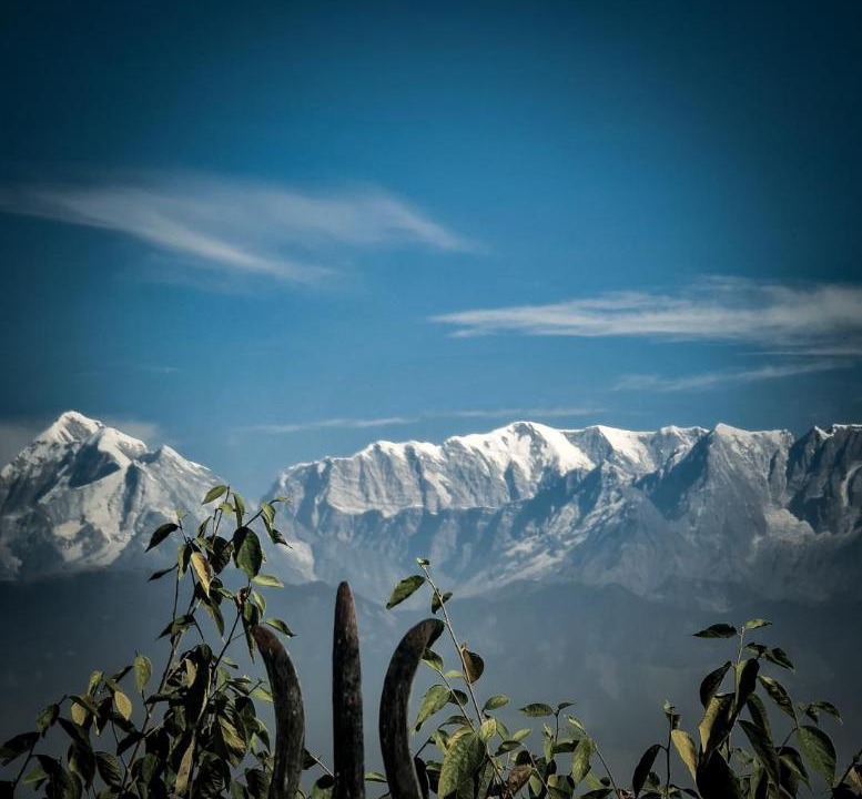 Photo of Others in Kausani