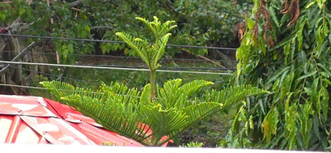 Photo of Outdoor in Sualkuchi