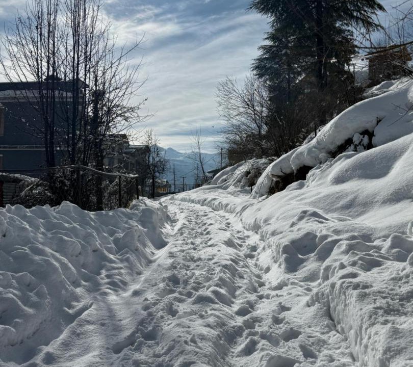 Photo of Others in Manali