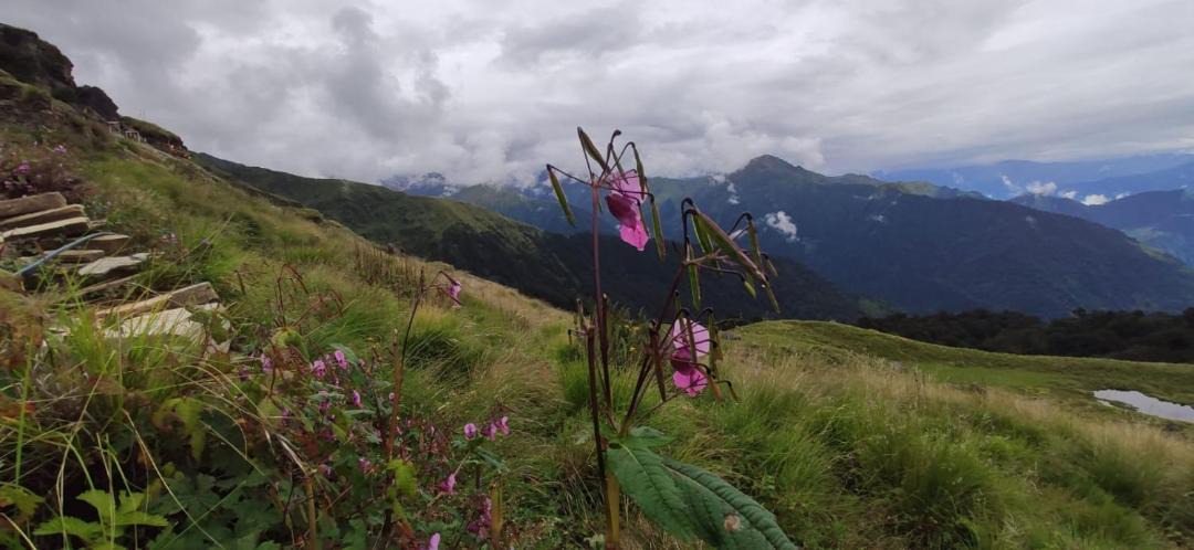 Photo of Others in Mussoorie