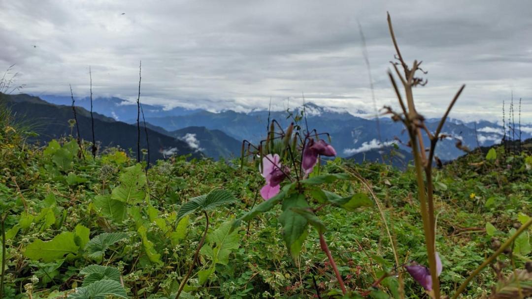 Photo of Others in Mussoorie