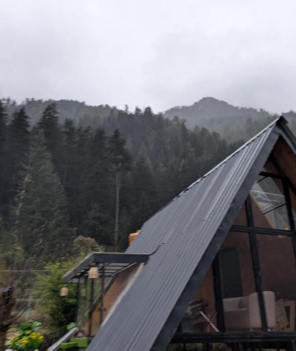 Photo of Others in Kasol