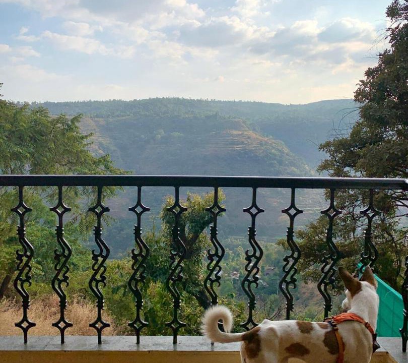 Photo of Others in Panchgani