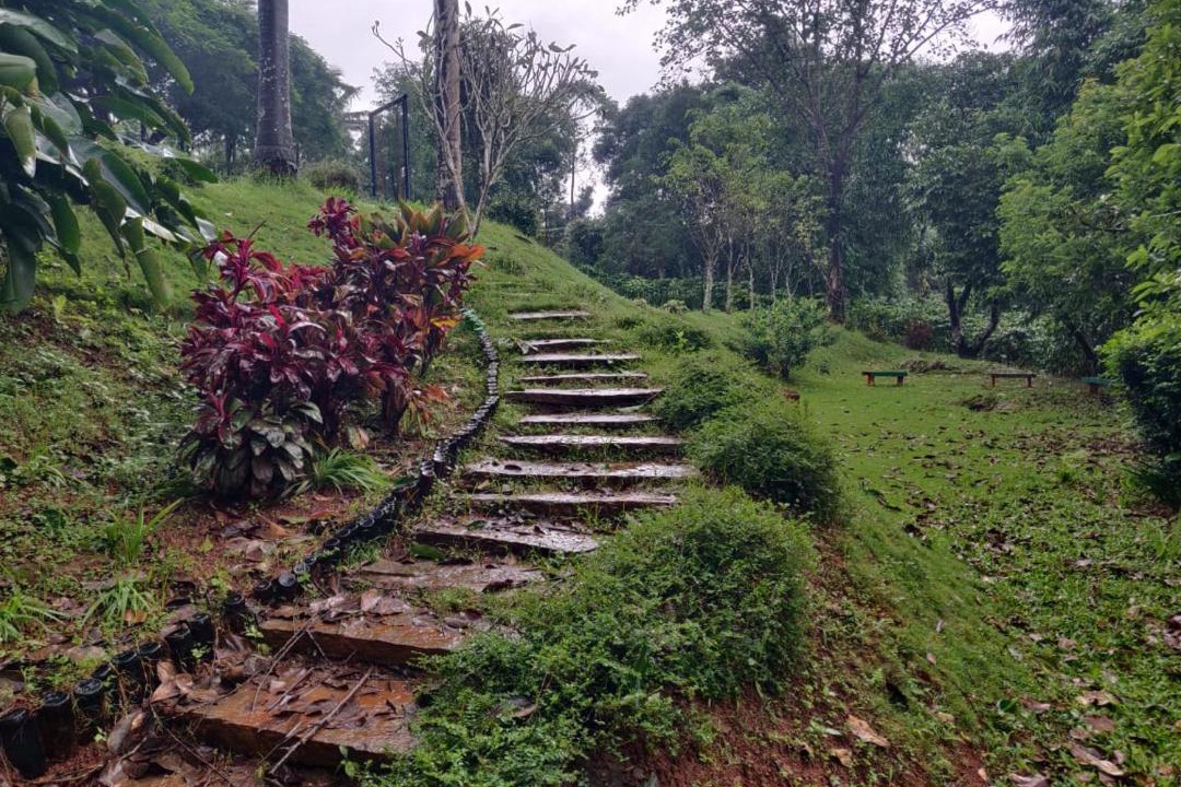 Photo of Others in Sakleshpur