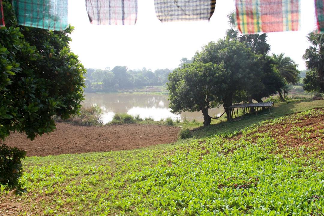 Photo of Others in Savar