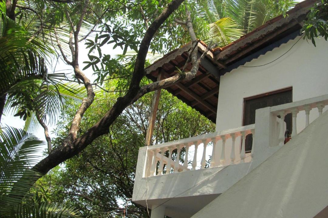 Photo of Others in Palolem