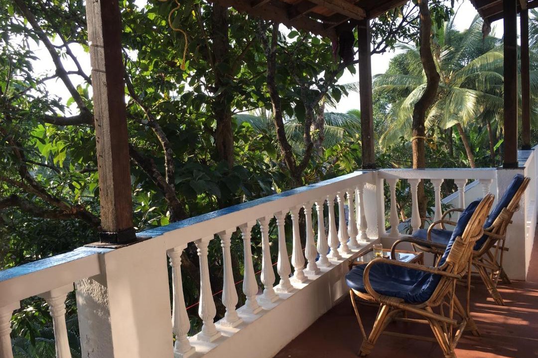 Photo of Others in Palolem