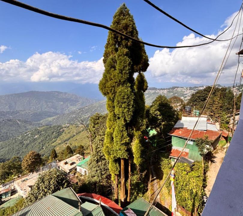 Photo of Others in Darjeeling