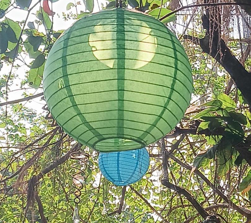 Photo of Others in Amboli