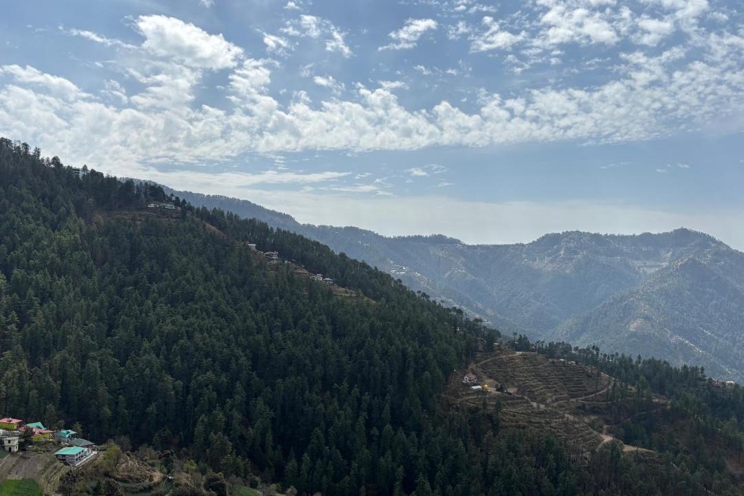 Photo of Others in Shimla