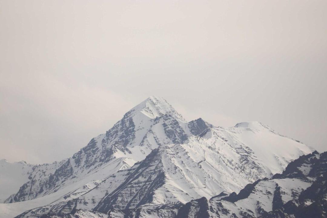 Photo of Others in Leh