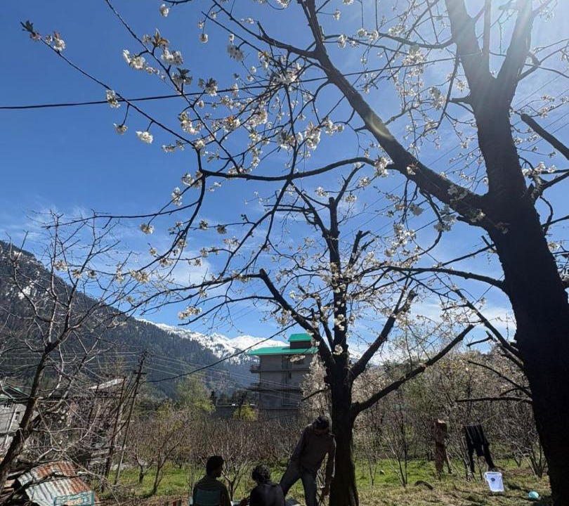 Photo of Outdoor in Old Manali