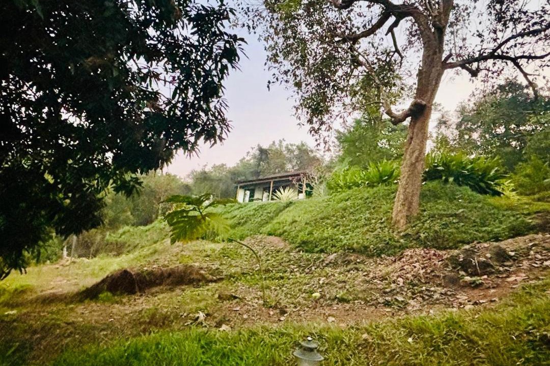 Photo of Others in Maina