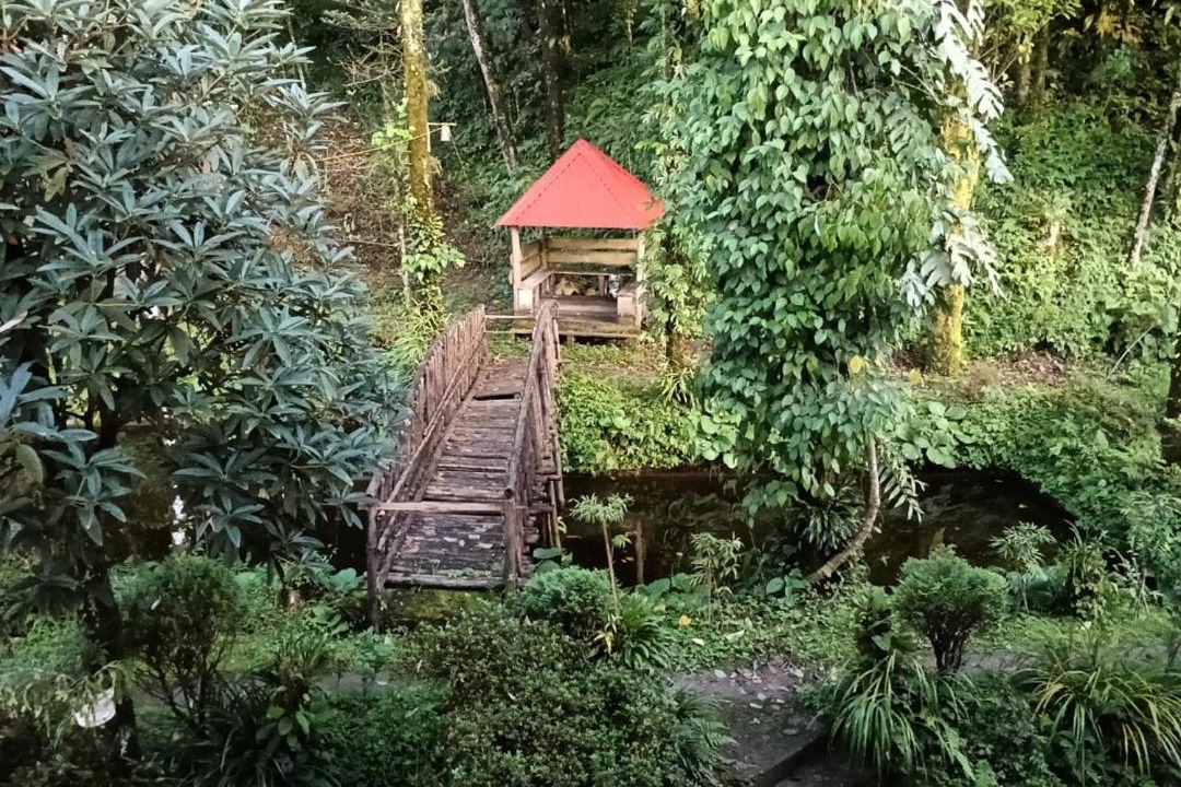 Photo of Others in Darjeeling