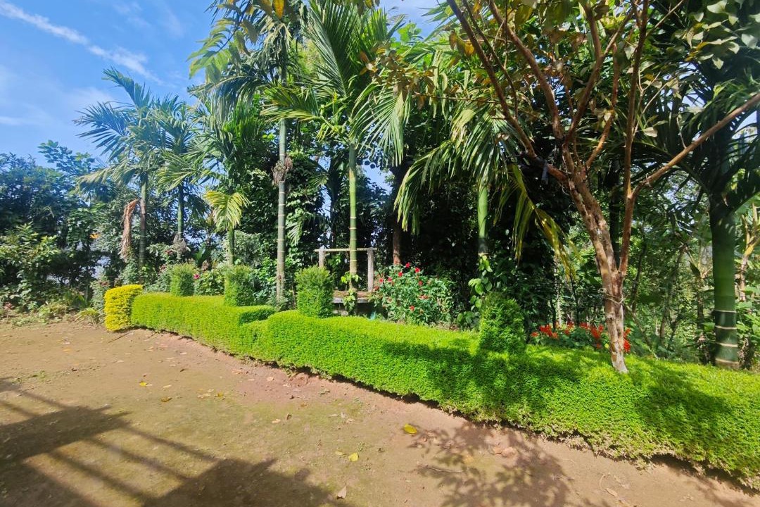 Photo of Others in Somvarpet