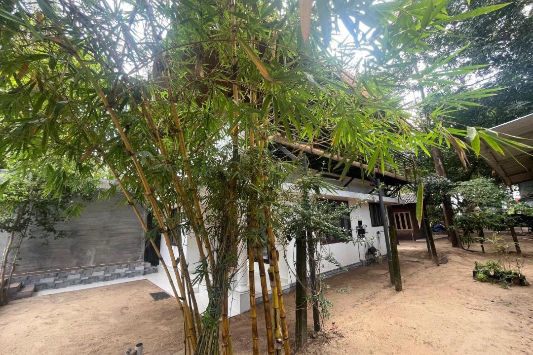Photo of Others in Kuzhuppilly
