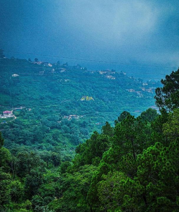 Photo of Others in Dharampur