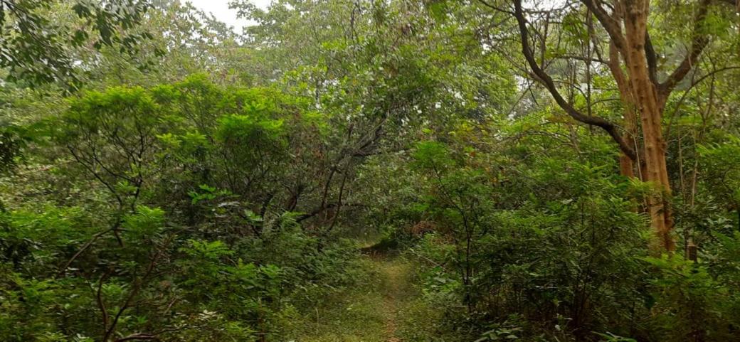 Photo of Outdoor in Jhargram