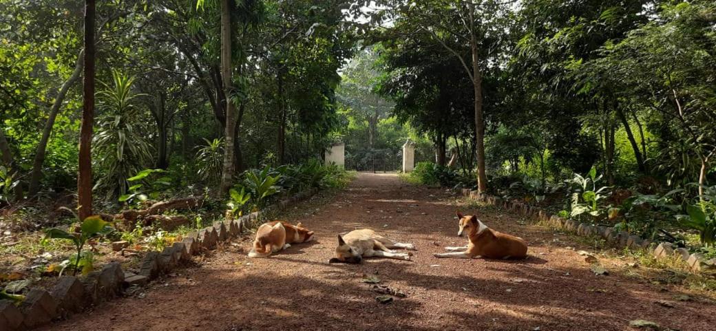 Photo of Others in Jhargram