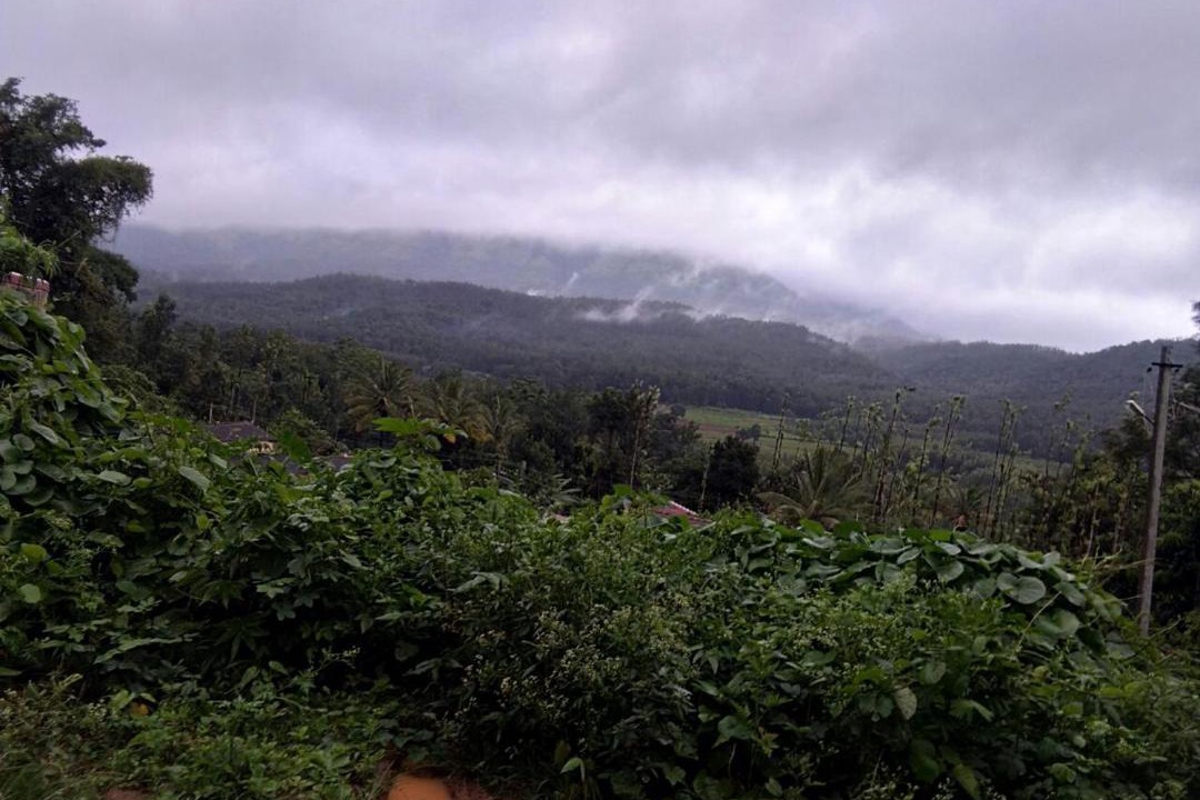 Photo of Others in Samudrapur