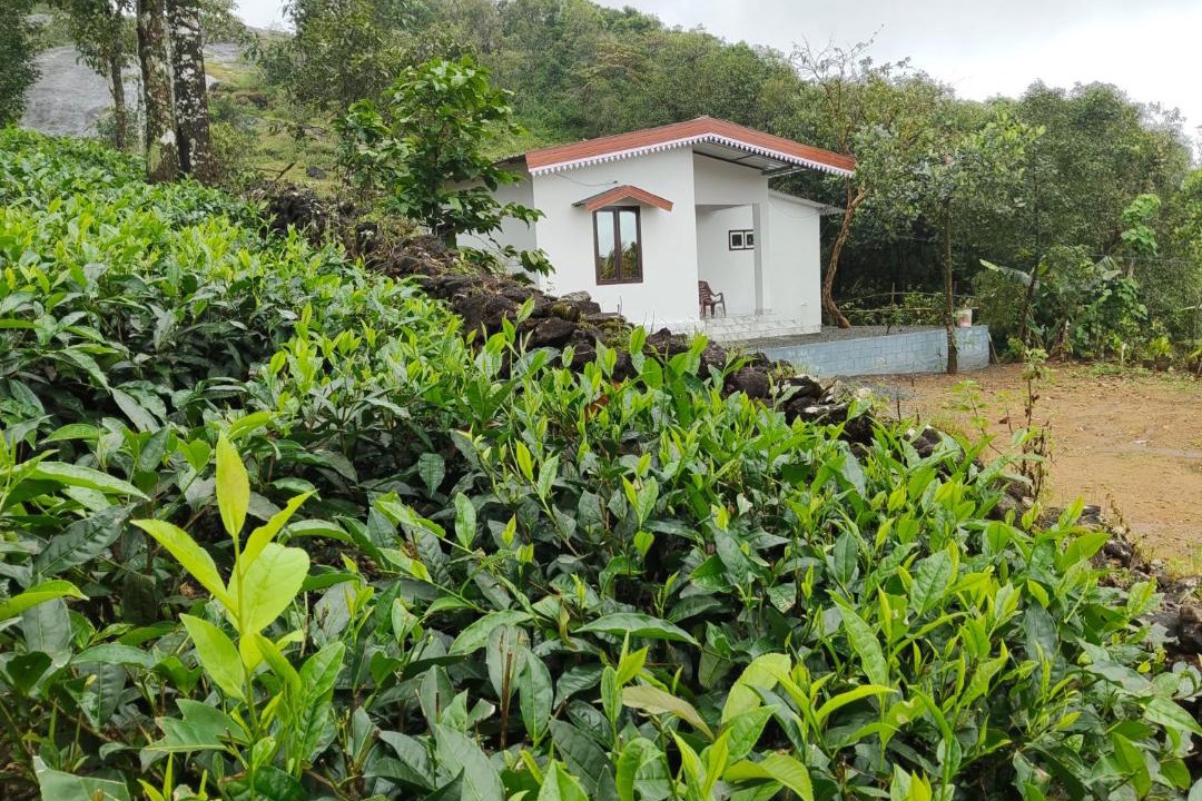 Photo of Others in Elappara