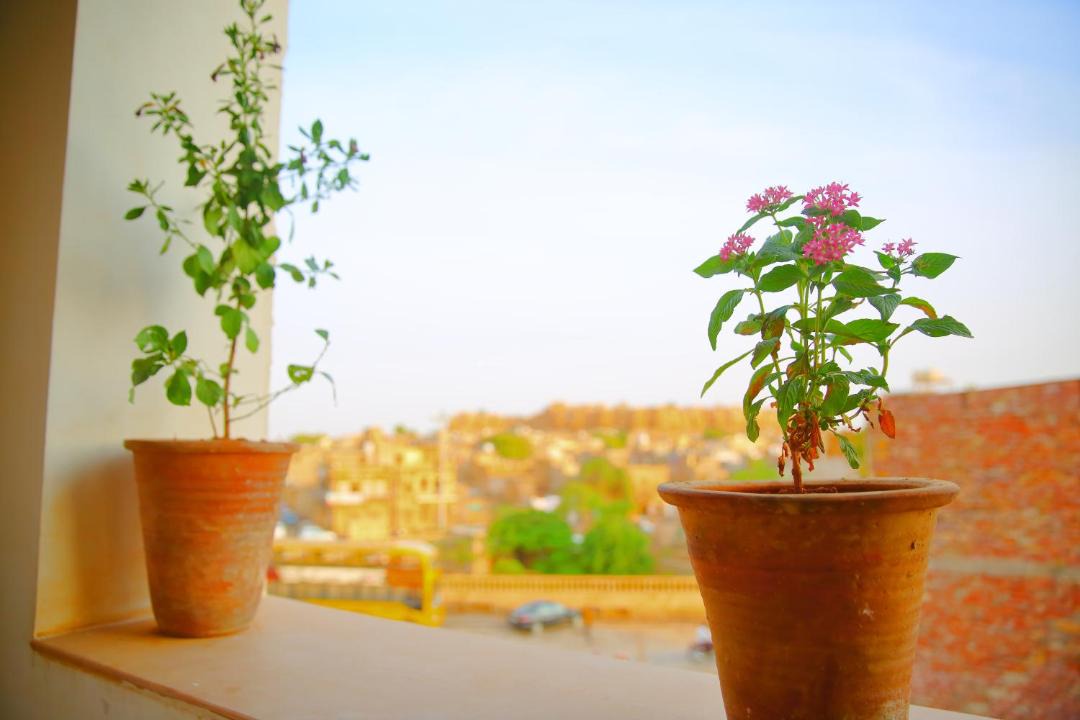 Photo of Others in Jaisalmer