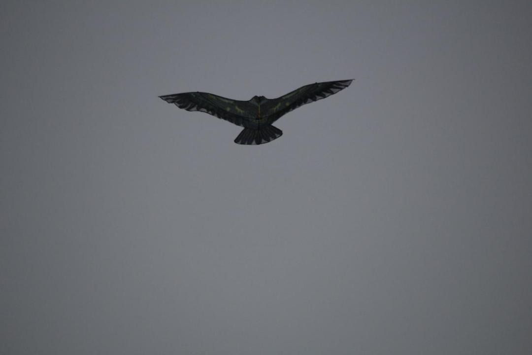 Photo of Others in Cox's Bazar