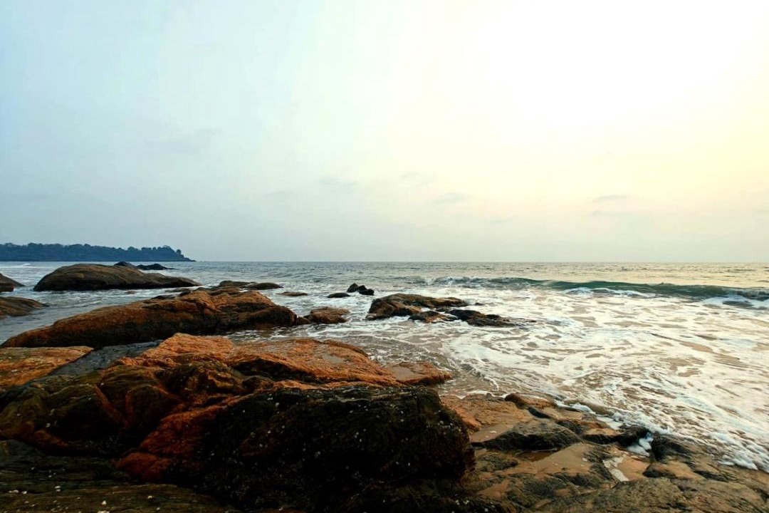 Photo of Others in Palolem
