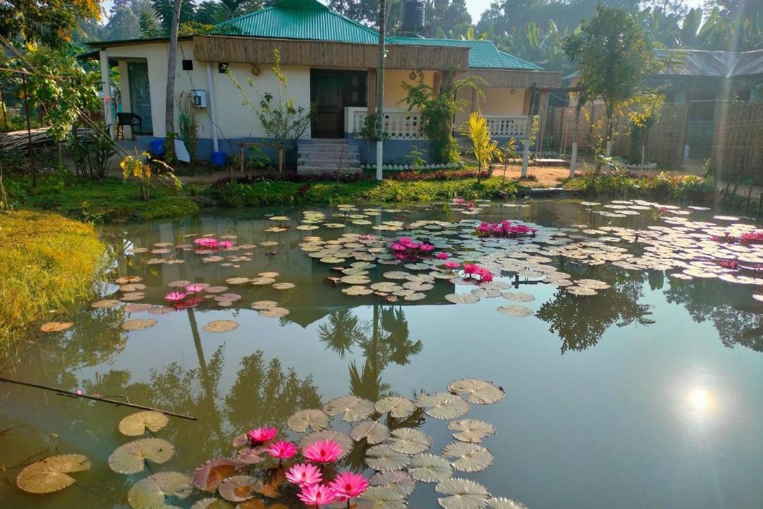Photo of Others in Sreemangal Upazila