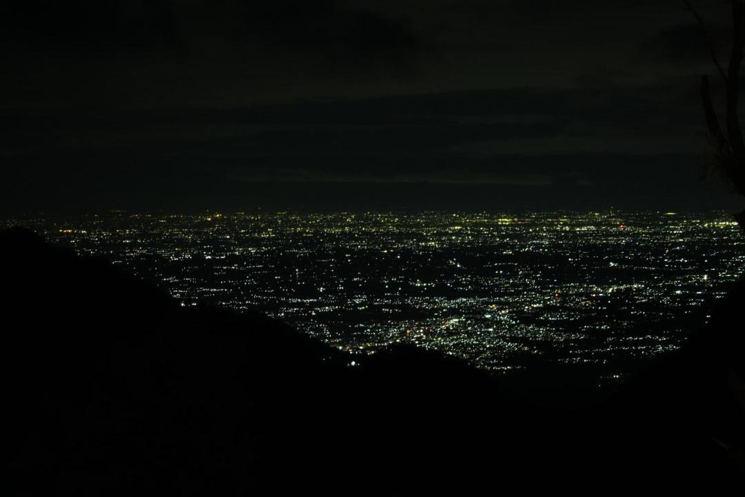 Photo of Others in Wellington