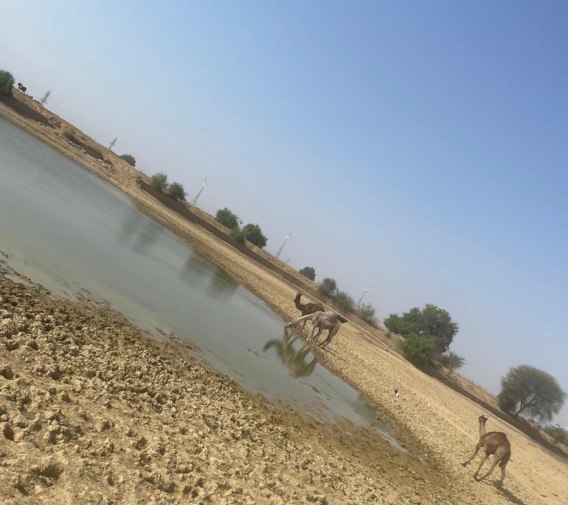 Photo of Others in Kanoi