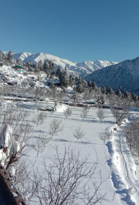 Photo of Others in Kalpa