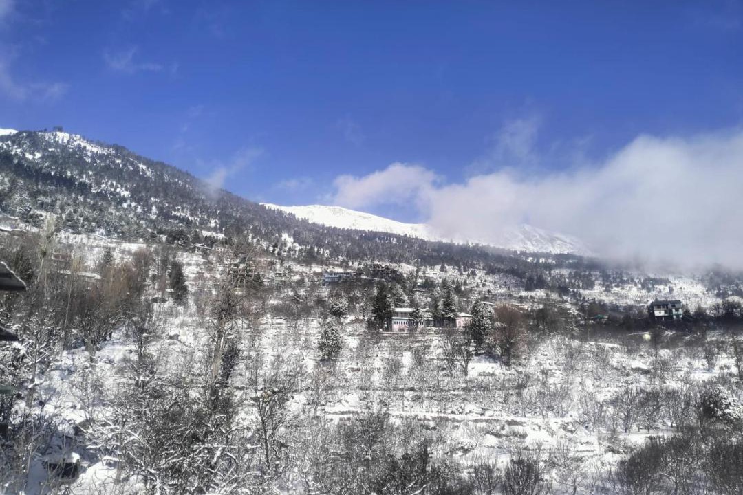 Photo of Others in Kalpa