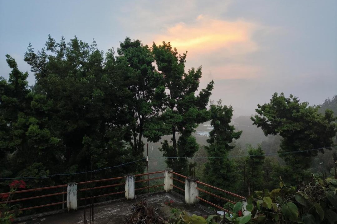 Photo of Others in Coonoor