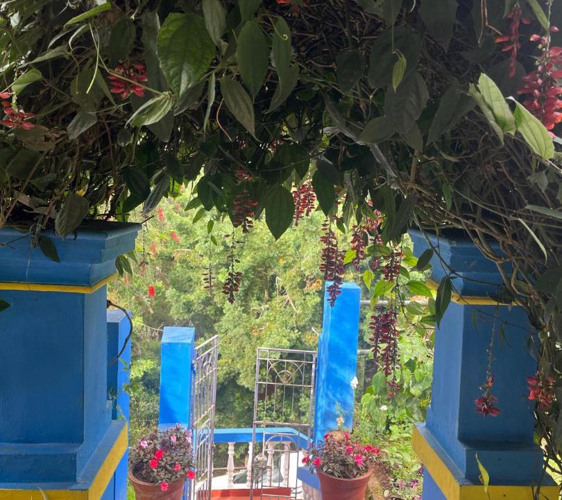 Photo of Others in Coonoor
