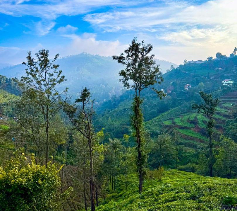 Photo of Others in Coonoor