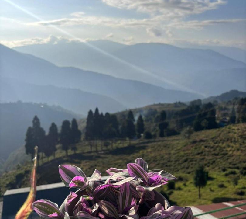 Photo of Others in Darjeeling