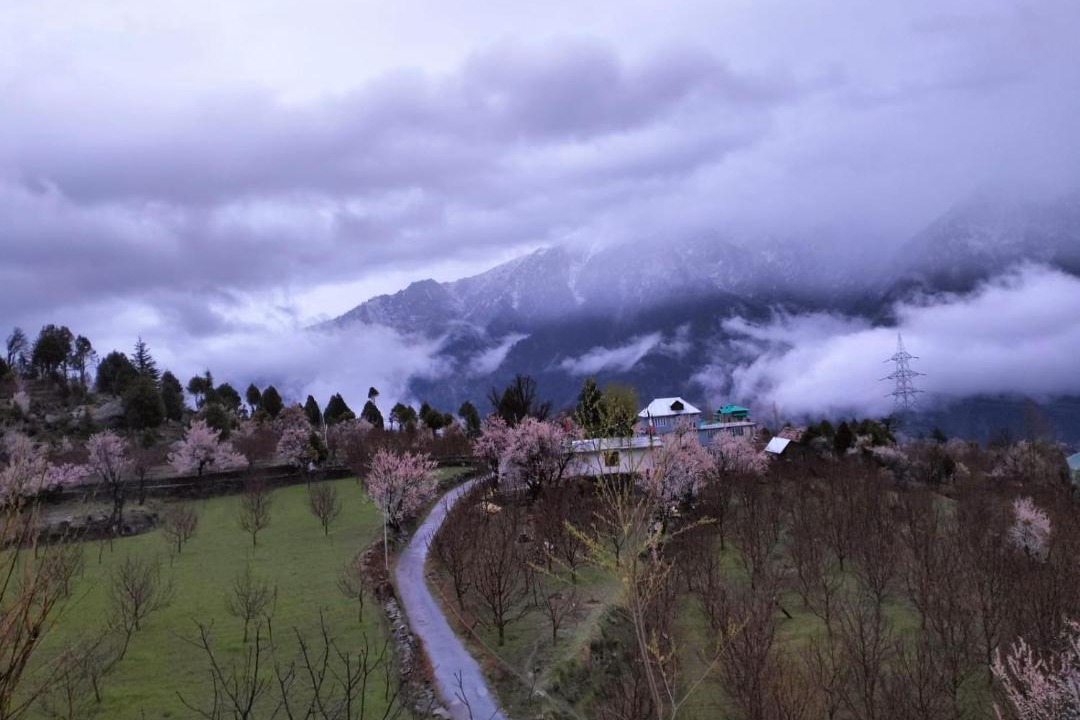 Photo of Others in Kalpa