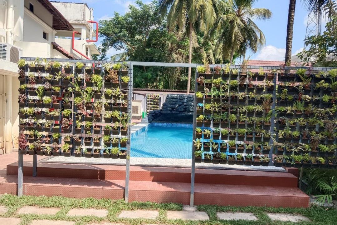 Photo of Others in Samudrapur